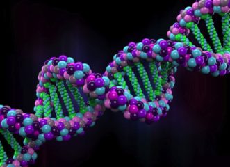 ερευνητές-ανακάλυψαν-γονίδια-που-δίν