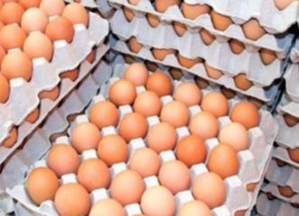 τι-είναι-το-fipronil-που-βρέθηκε-στα-αυγά-και-π