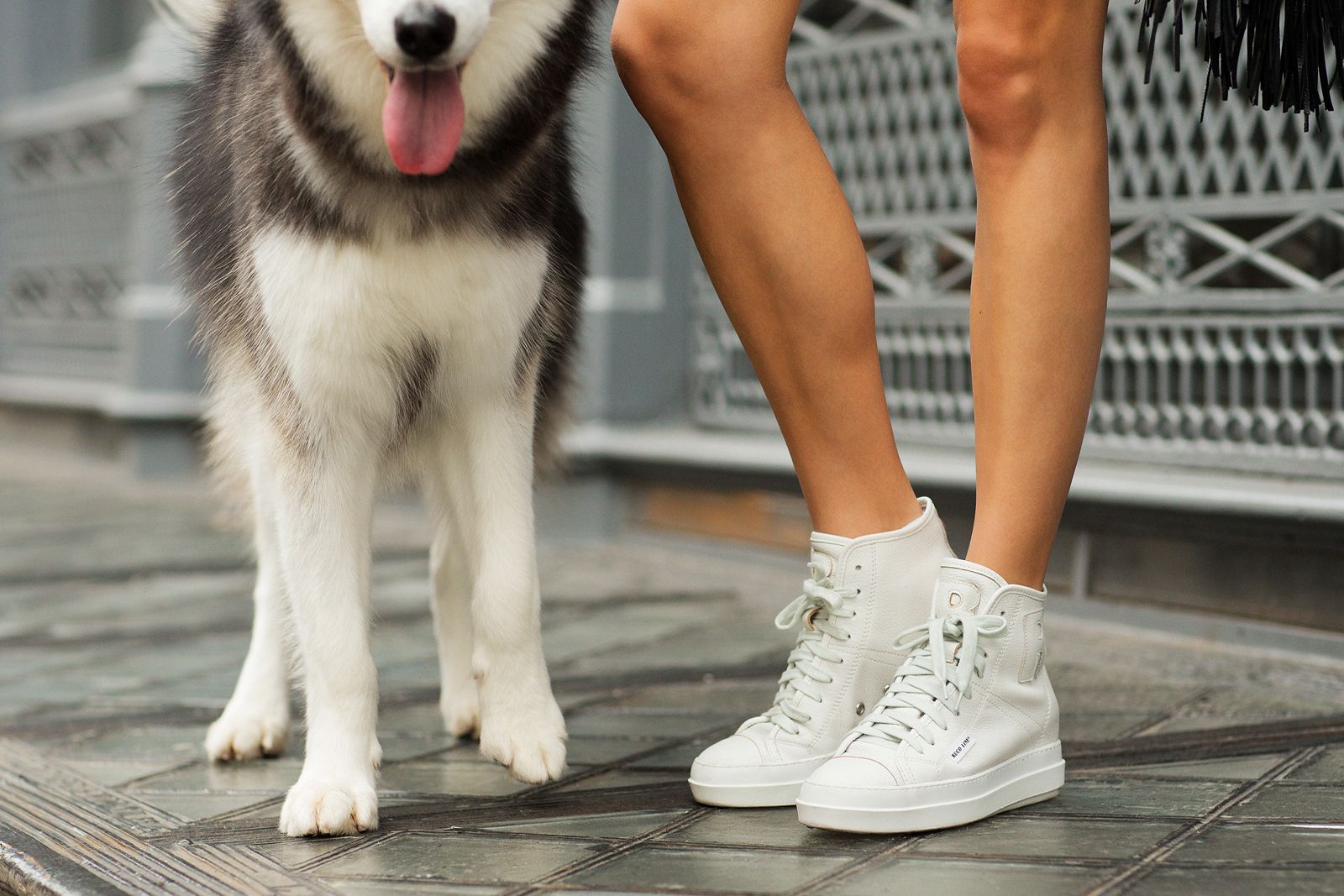 %cf%84%ce%bf-%ce%ba%cf%8c%ce%bb%cf%80%ce%bf-%ce%b3%ce%b9%ce%b1-%ce%bb%ce%b5%cf%85%ce%ba%ce%ac-sneakers-%cf%83%ce%b1%ce%bd-%ce%ba%ce%b1%ce%b9%ce%bd%ce%bf%cf%8d%cf%81%ce%b9%ce%b10