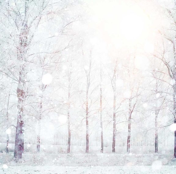 white-christmas-ψυχρό-μέτωπο-θα-σαρώσει-τη-χώρα-για-12