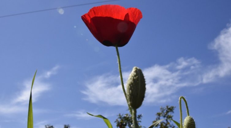 %ce%ba%ce%b1%ce%bb%ce%bf%ce%ba%ce%b1%ce%b9%cf%81%ce%af%ce%b1-%ce%ba%ce%b1%ce%b9-%cf%85%cf%88%ce%b7%ce%bb%ce%ad%cf%82-%ce%b8%ce%b5%cf%81%ce%bc%ce%bf%ce%ba%cf%81%ce%b1%cf%83%ce%af%ce%b5%cf%82-%cf%840