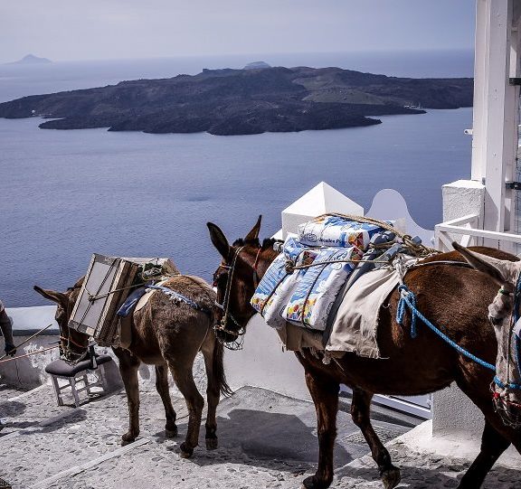 σαντορίνη-ξυλοκόπησαν-ακτιβιστή-επε