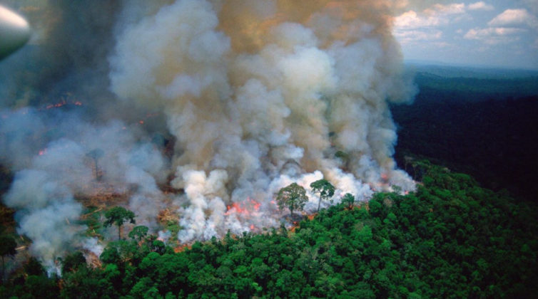 prayforamazonas-%ce%bf%ce%bb%cf%8c%ce%ba%ce%bb%ce%b7%cf%81%ce%b7-%ce%b7-%ce%b1%ce%bd%ce%b8%cf%81%cf%89%cf%80%cf%8c%cf%84%ce%b7%cf%84%ce%b1-%ce%b1%ce%b3%cf%89%ce%bd%ce%b9%ce%ac-%ce%b3%ce%b9%ce%b10