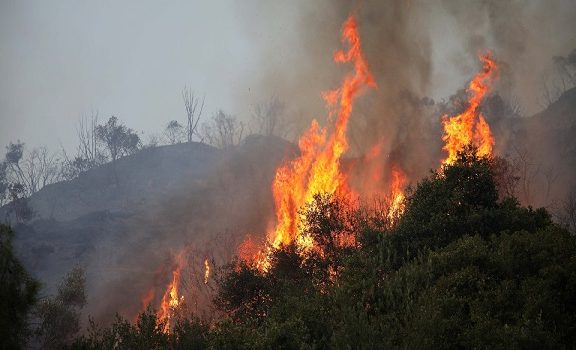 θήβα-η-φωτιά-κινείται-ανεξέλεγκτα-προ