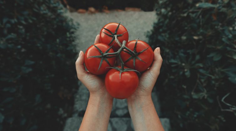 Δες τι αλλαγές θα συμβούν στο σώμα σου αν τρως μια ντομάτα καθημερινά