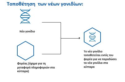 %cf%83%cf%85%ce%bc%ce%b2%ce%b1%cf%84%ce%b9%ce%ba%ce%ae-vs-%ce%ba%cf%85%cf%84%cf%84%ce%b1%cf%81%ce%b9%ce%ba%ce%ae-%ce%ba%ce%b1%ce%b9-%ce%b3%ce%bf%ce%bd%ce%b9%ce%b4%ce%b9%ce%b1%ce%ba%ce%ae-%ce%b8%ce%b510