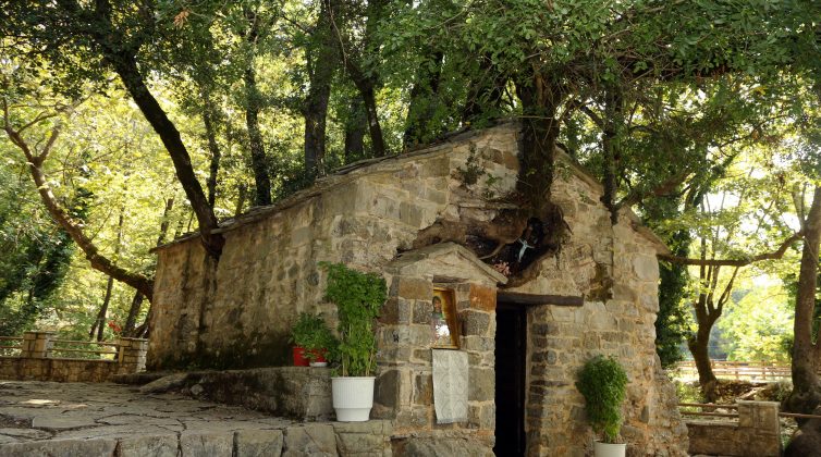 Το εκκλησάκι της Αγίας Θεοδώρας με τα 17 δέντρα στη στέγη του – Έχει μπει στο Γκίνες!