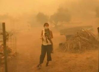 φωτιά-στην-εύβοια-δημοσιογράφος-της-ε