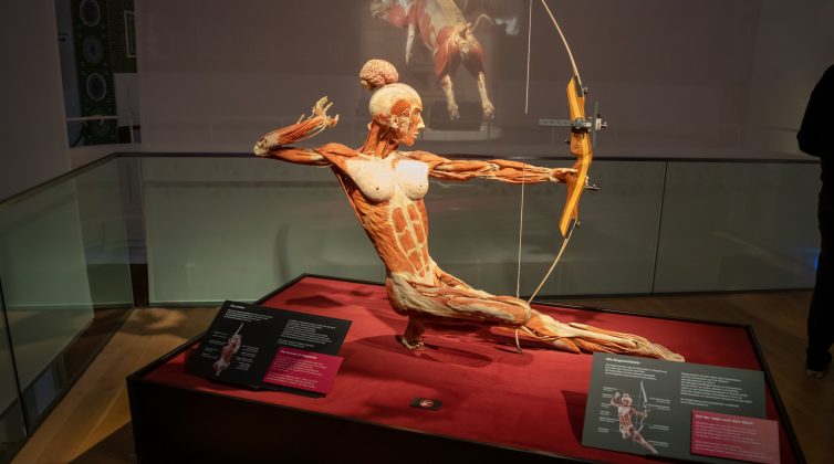 Body Worlds: Έρχεται για πρώτη φορά στην Ελλάδα μία παράξενη αλλά συναρπαστική έκθεση