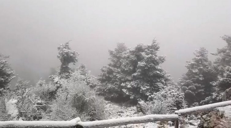 Χιονίζει στην Πάρνηθα - Δείτε το πανέμορφο χιονισμένο τοπίο στο καταφύγιο Μπάφι