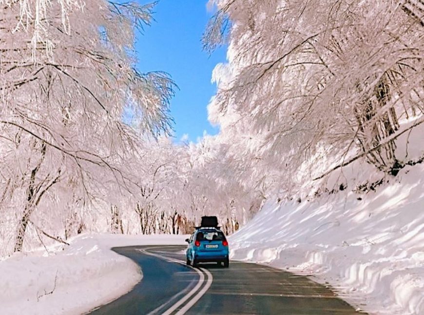 Ένας χιονισμένος δρόμος στη Φλώρινα, βγαλμένος από παραμύθι – Δείτε το βίντεο που μάγεψε τους πάντες