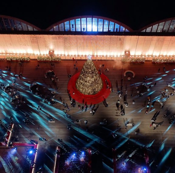 the-ellinikon-experience-park-τα-μικρά-δέντρα-του-εντυπωσιακο