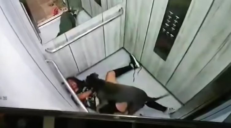 Σοκαριστικές εικόνες: Η στιγμή όπου 25χρονη δέχεται άγρια επίθεση από τον σκύλο της