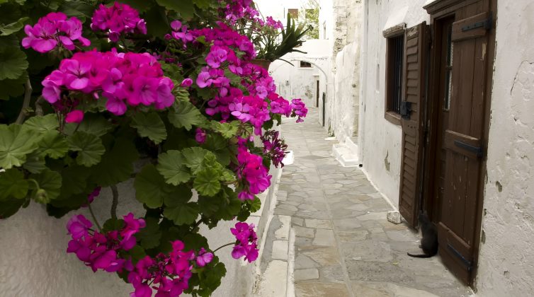 Αυτές είναι οι 10 πιο εντυπωσιακές "μυστικές" γωνιές στην Ελλάδα, σύμφωνα με την Telegraph