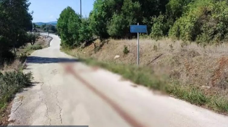 Άσχημα νέα: Το γαϊδουράκι που κακοποιήθηκε υποβάλλεται σε ευθανασία