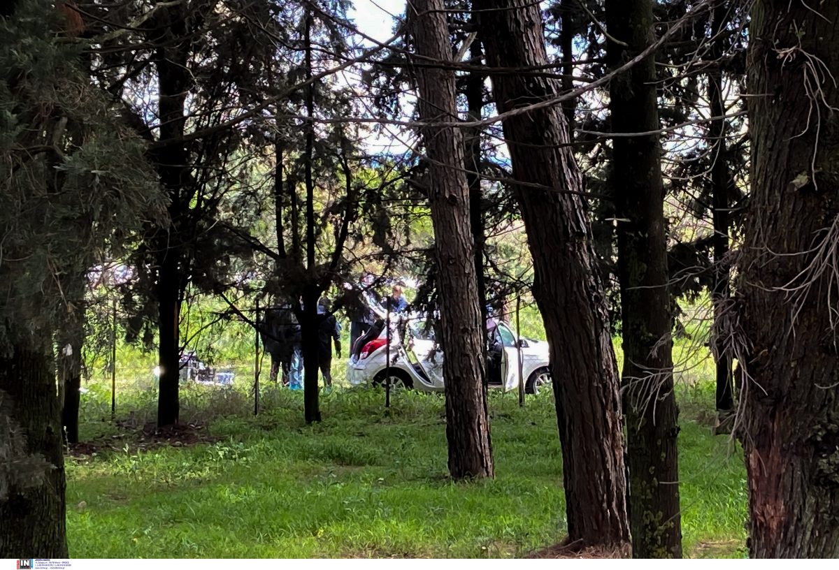 Θεσσαλονίκη: Άφαντος ο μητροκτόνος μετά το άγριο έγκλημα- Τι φοβίζει τις Αρχές