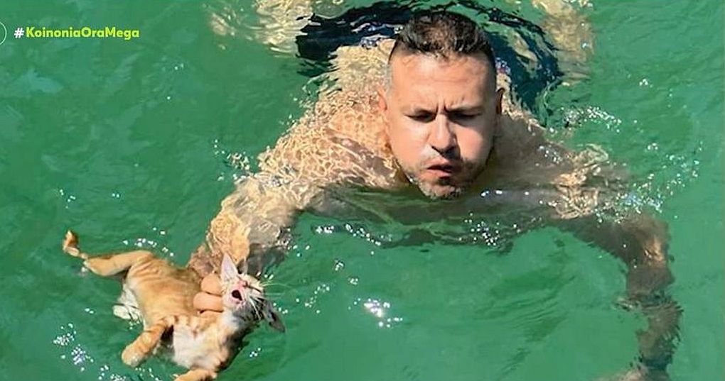 Μέλος πληρώματος πλοίου στη Σαλαμίνα βούτηξε στη θάλασσα κι έσωσε ένα γατάκι!
