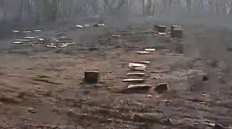 Φωτιά στον Έβρο: Συγκλονίζει ο μελισσοκόμος που αποχαιρετά με λυγμούς τις μέλισσες που κάηκαν