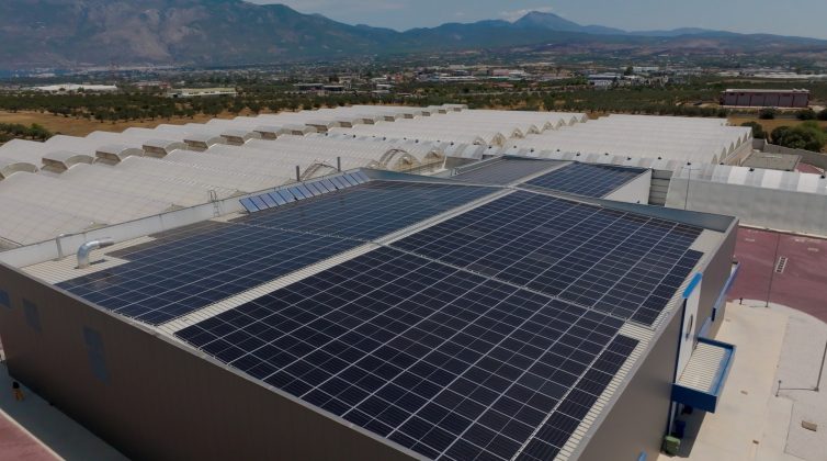 Tikun Olam Ελλάδος: Mειώνει το περιβαλλοντικό της αποτύπωμα με νέα φωτοβολταϊκή εγκατάσταση