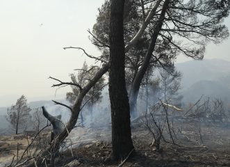 όλη-νύχτα-δεν-έχουν-στείλει-ένα-πυροσ