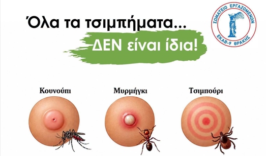 όλα-τα-τσιμπήματα-δεν-είναι-ίδια-πότε-ε